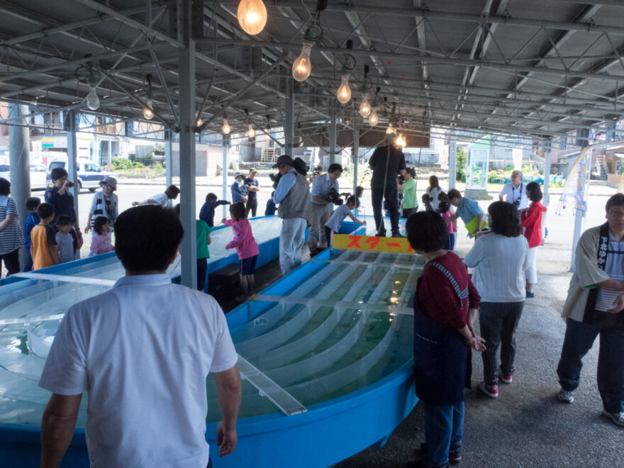 7月11日、元祖烏賊様（いかさま）レースが始まりました！