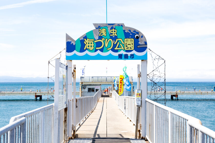 親子で楽しめる！浅虫海づり公園