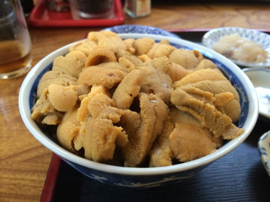 佐井村「ぬいどう食堂」のウニ丼は、味も盛りもメガトン級！！