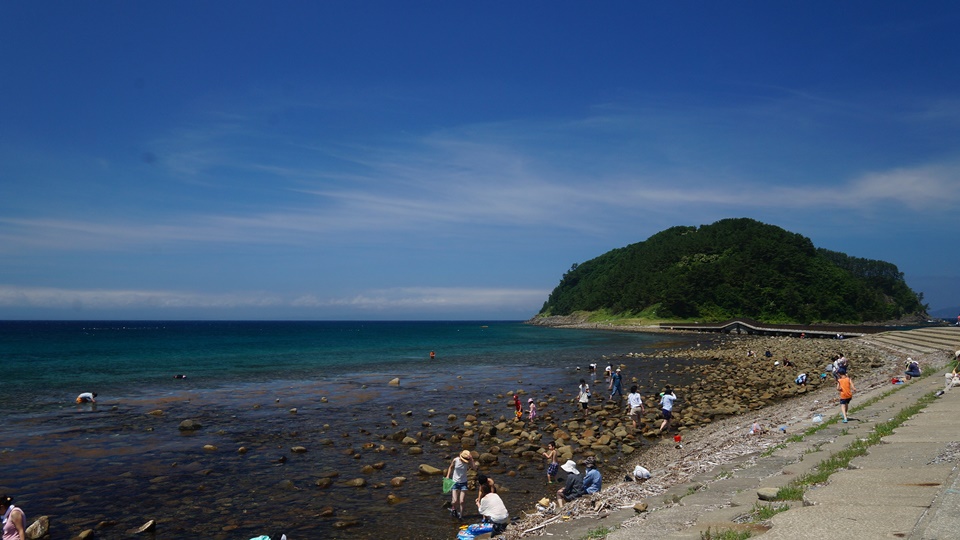 夏泊半島の遊べるスポット 大島 で夏を楽しもう 海と日本project In 青森県