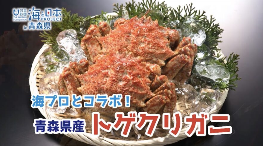 海と日本プロジェクト ✕ 丸勝水産コラボ『トゲクリガニ』
