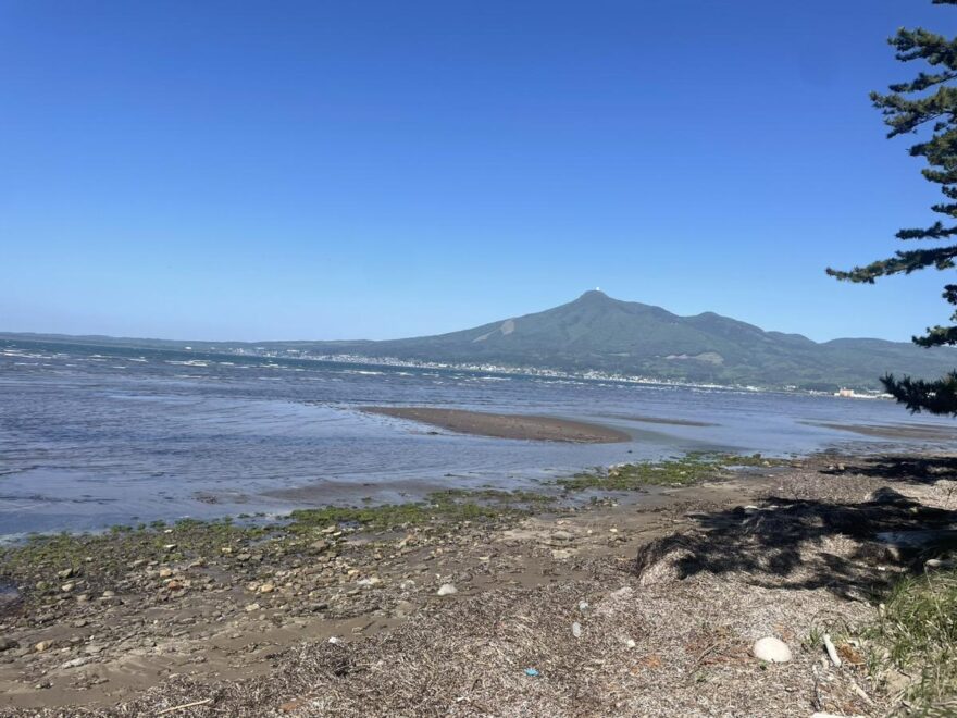 海岸清掃に参加！自分たちの手でふるさとの自然を守ろう