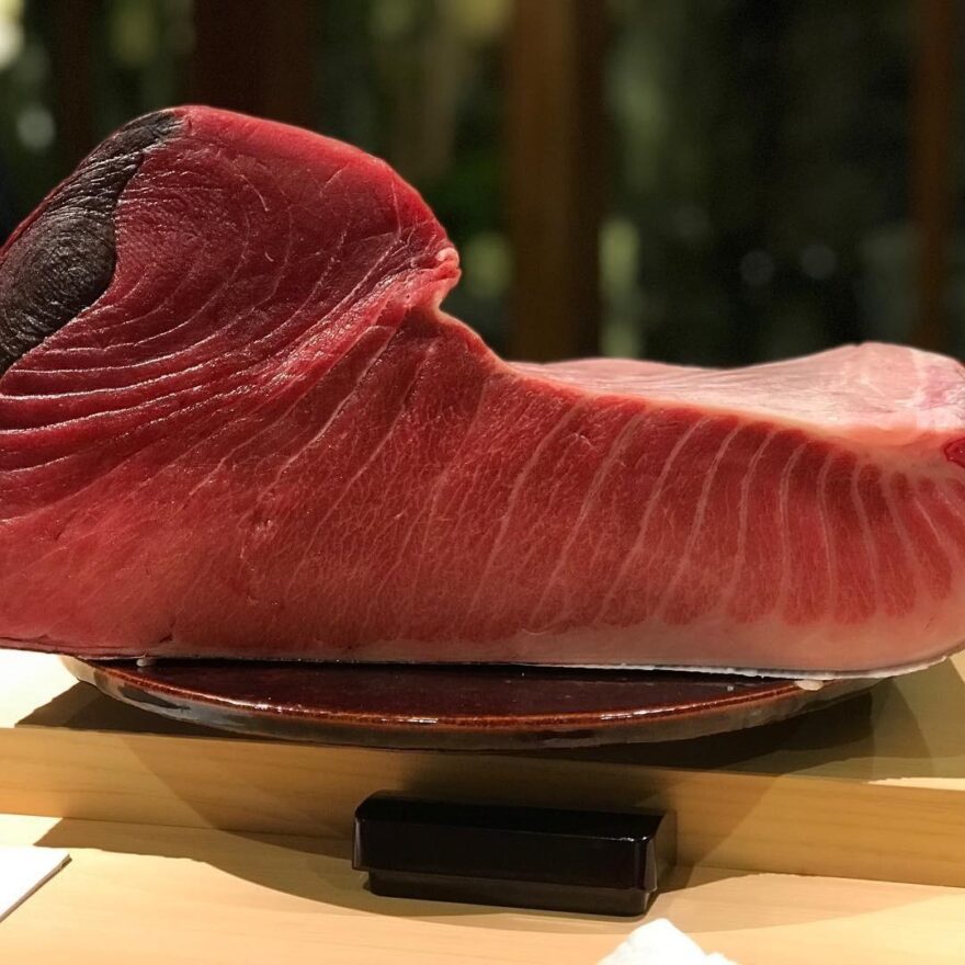 【2026年】大間産マグロ「5億1030万円」初競り史上最高値で落札！落札者の正体と一獲千金を掴んだ漁師とは？寿司なら一貫7万5000円相当に！