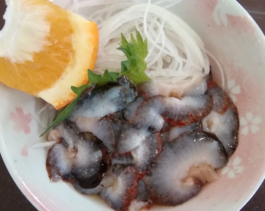 陸奥湾の宝石！「横浜町のナマコ」が美味しい理由と、海を育むブナの森の関係